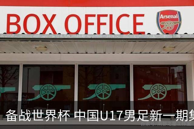 备战世界杯 中国U17男足新一期集训名单出炉